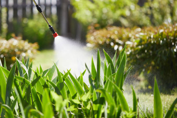 24/7 Emergency Ant Control experts in Percy, IL