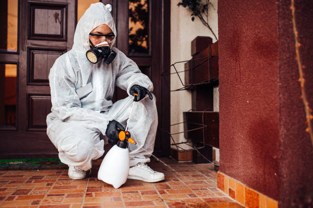 Reliable Ant Control contractor in Percy, IL by Show Me Pest Control